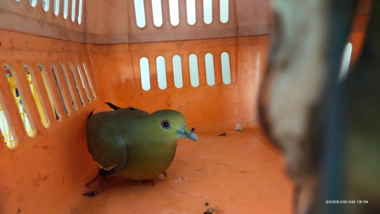 Wildlife Assistance | February 08, 2023