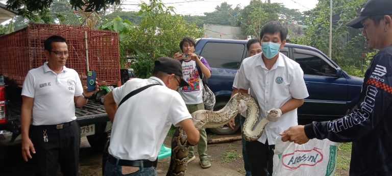 Wildlife Assistance – Quezon Provincial Veterinary Health Center | May 15, 2023