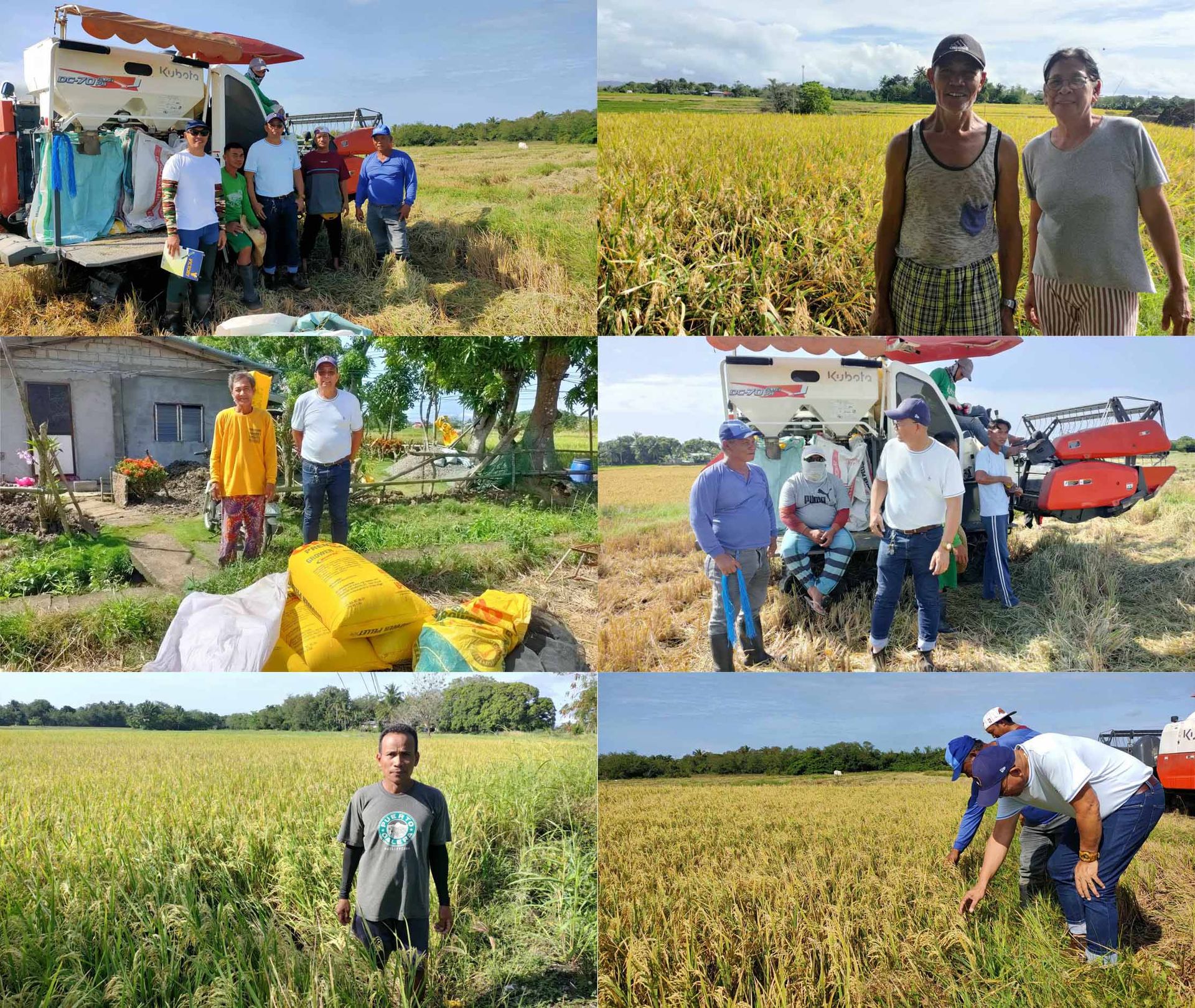 Rice Agricultural Service Provider (ASP) Program | April 23, 2024