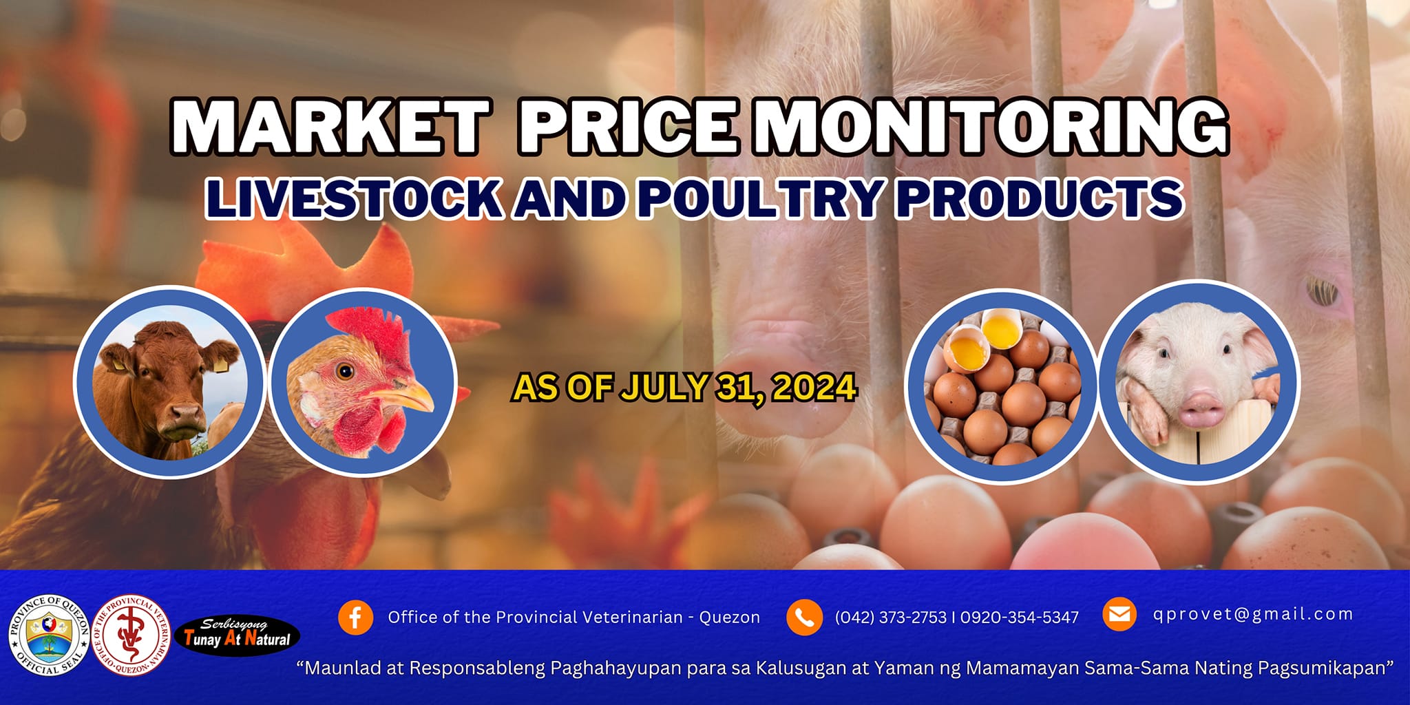 UPDATED PRICE MONITORING as of July 31, 2024