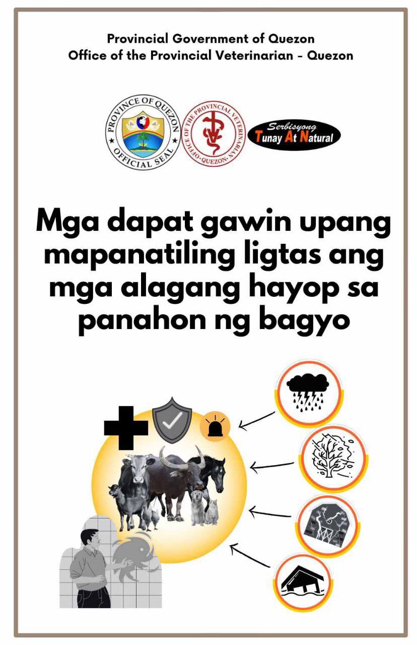 Mga Dapat Gawin Upang Mapanatiling Ligtas ang mga Alagang Hayop sa Panahon ng Bagyo