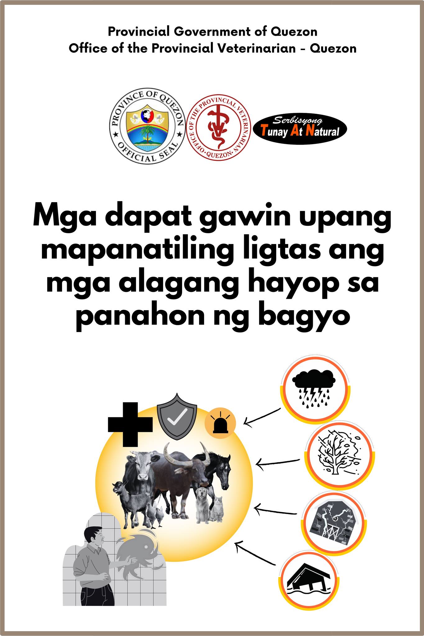 Mga dapat gawin upang mapanatiling ligtas ang mga alagang hayop sa panahon ng bagyo