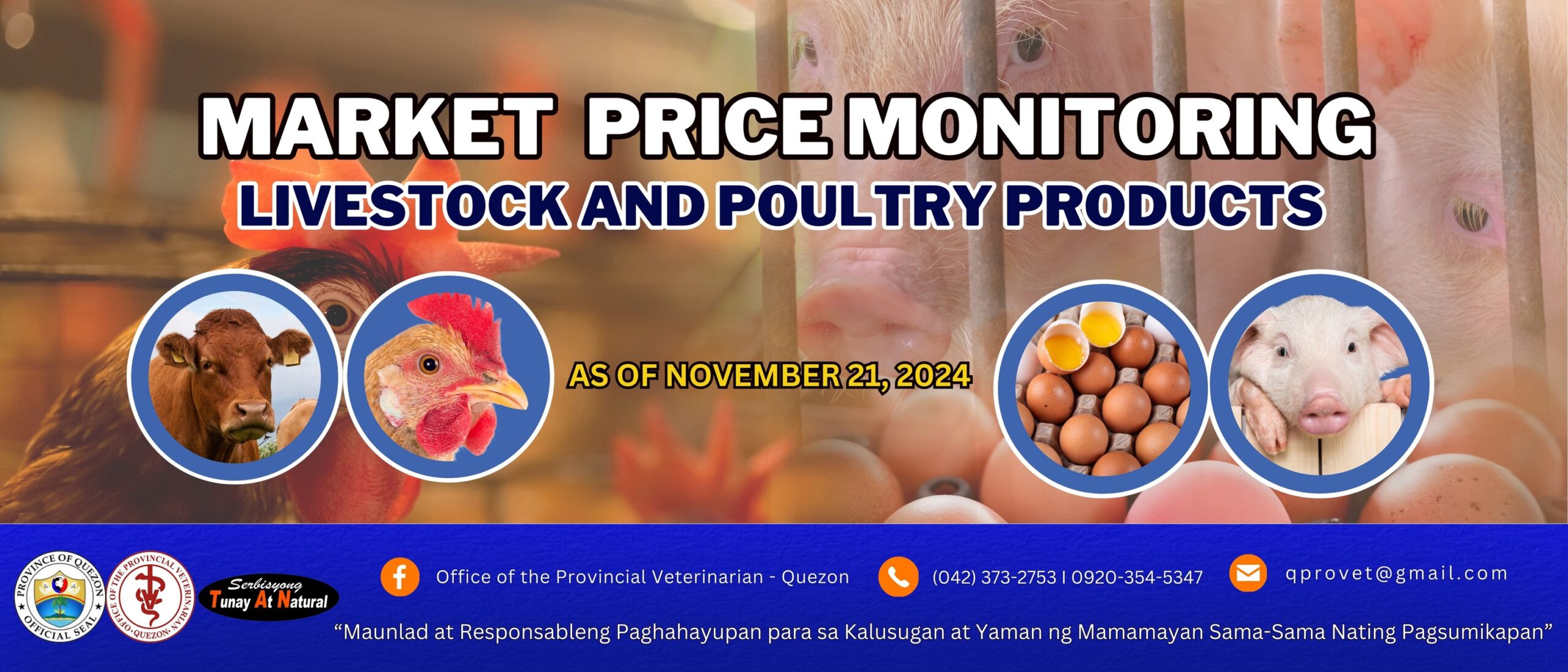 Updated Livestock & Poultry Products Market Price Monitoring as of November 21, 2024