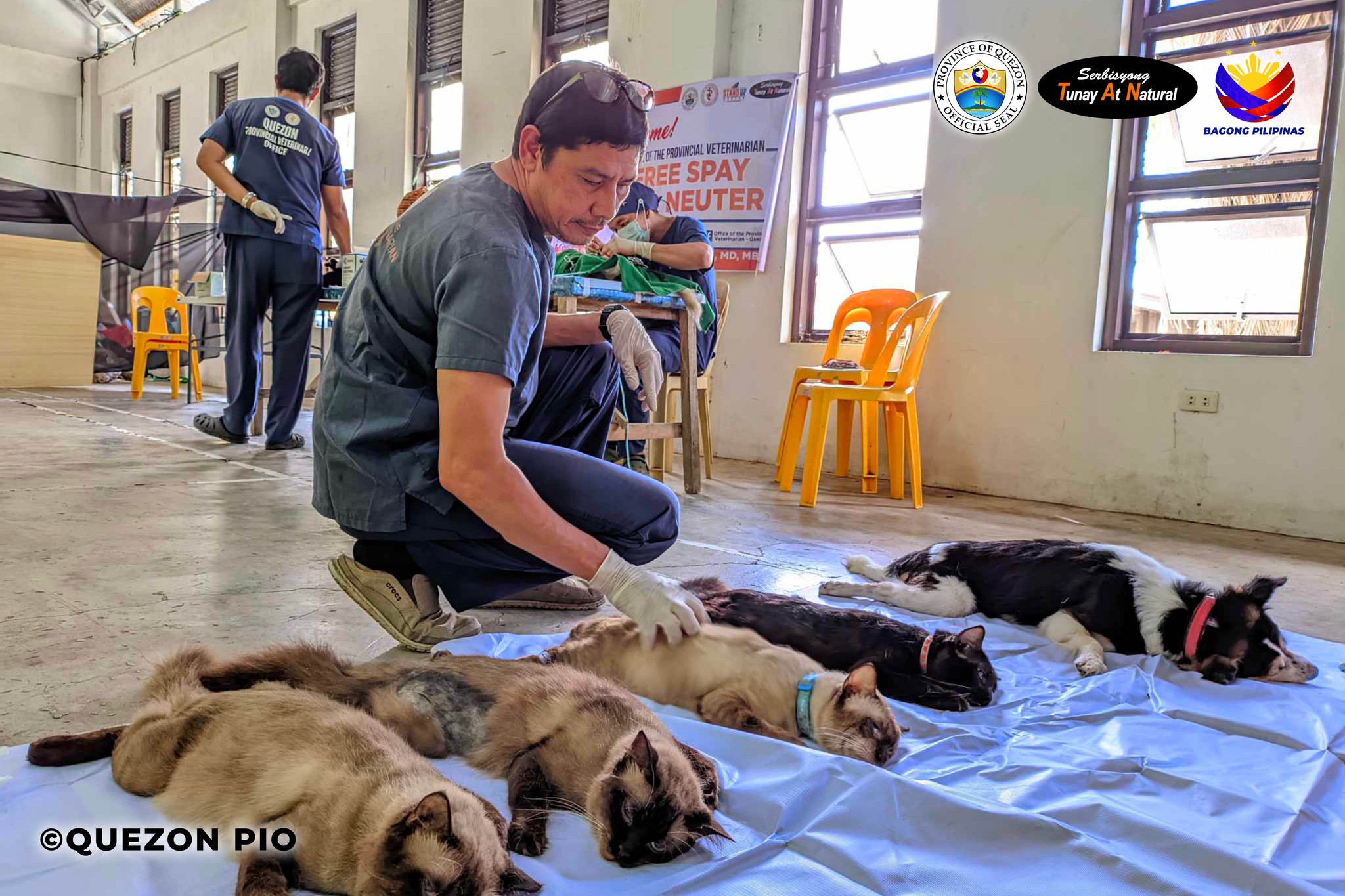 Office of the Provincial Veterinarian ng Veterinary Medical Mission w/ Spay and Neuter | January 20, 2025
