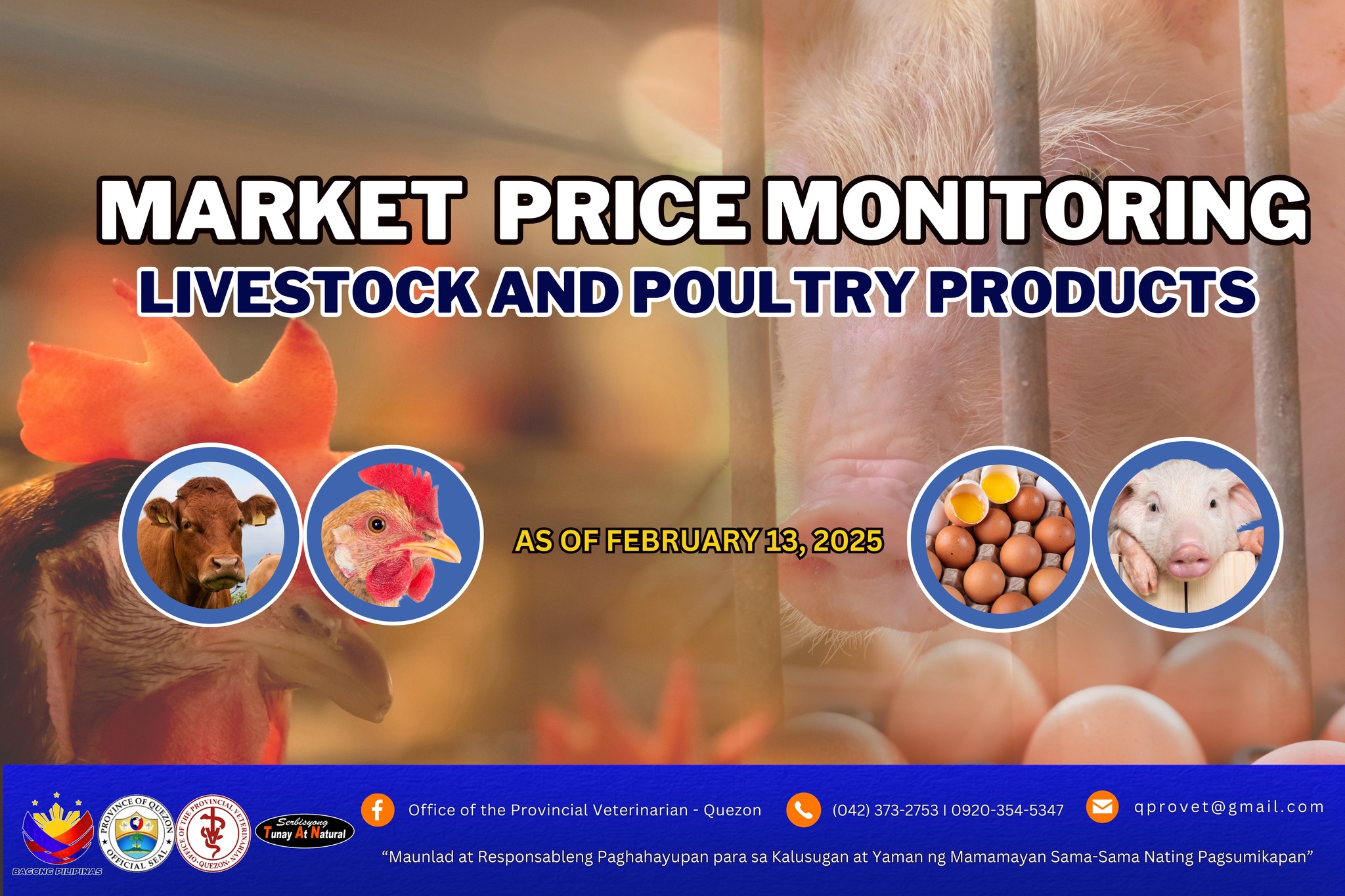 Updated Livestock & Poultry Products Market Price Monitoring as of February 13, 2025