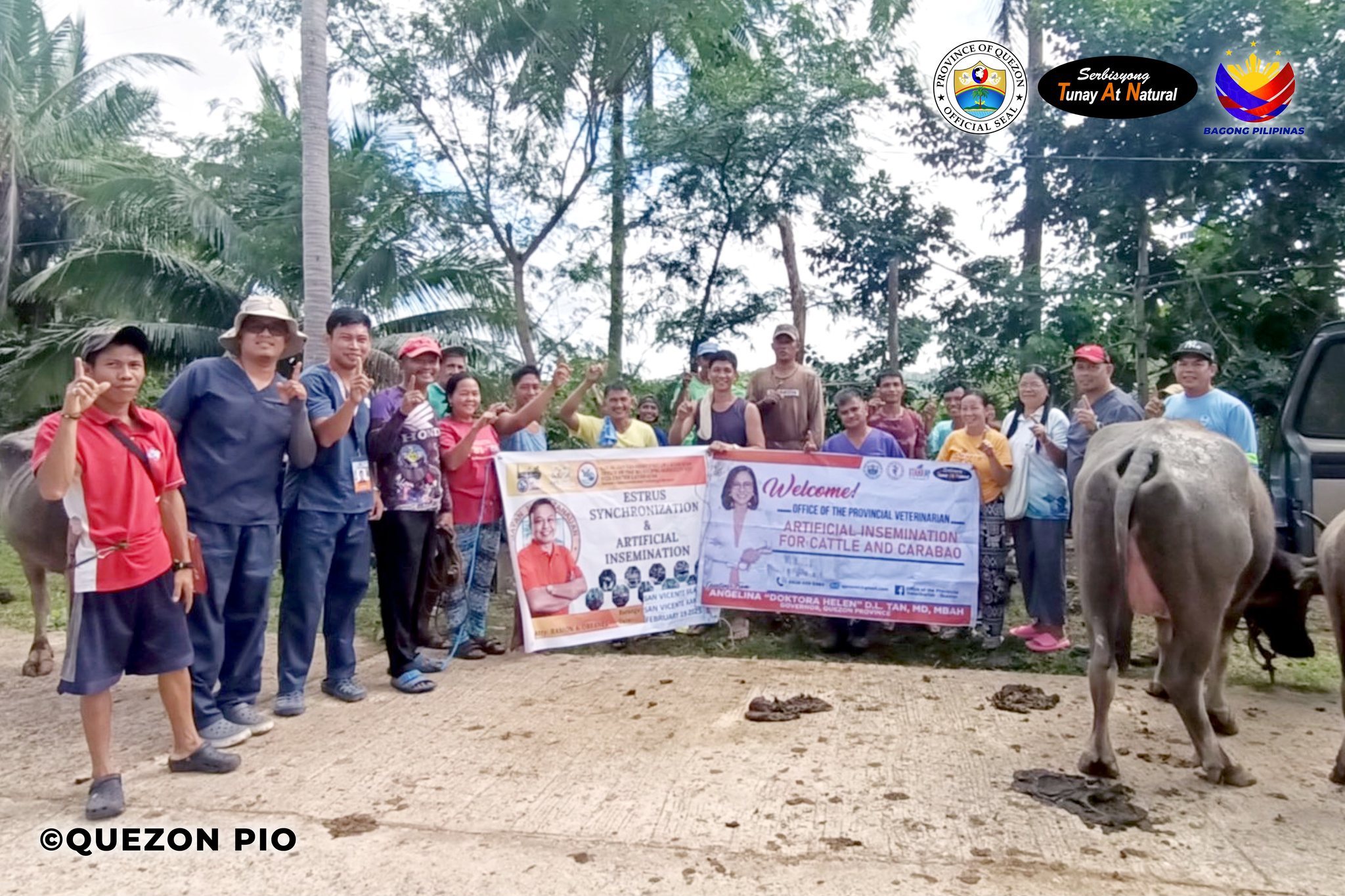 Artificial Insemination for Cattle  and Carabao | February 26, 2025