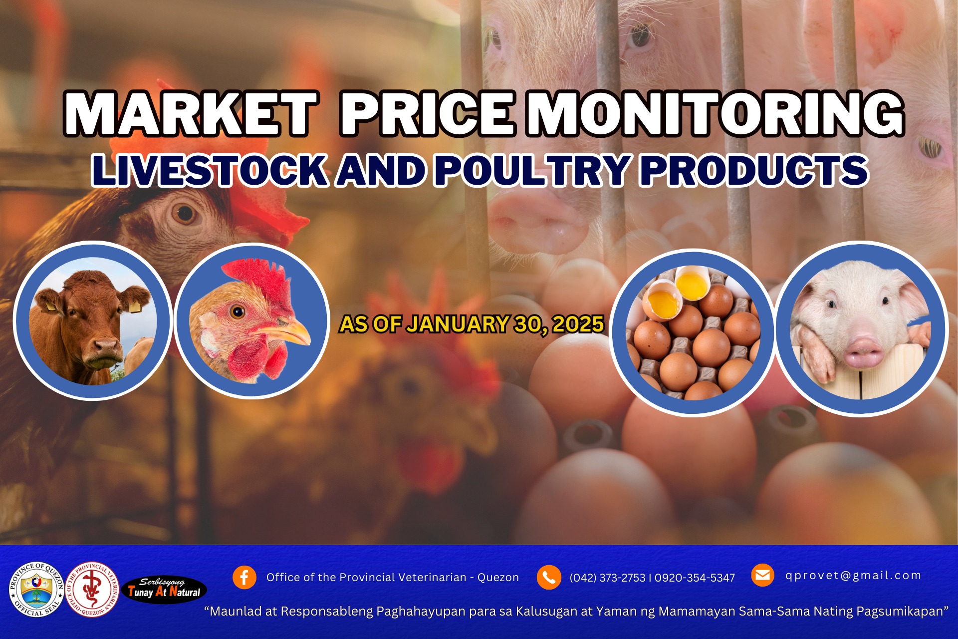 Market Price Monitoring – Livestock and Poultry  products | February 3, 2025