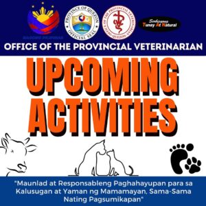 OVP-Upcoming-Activities-Feb-17-2025.jpg