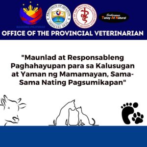 OVP-Upcoming-Activities-Feb-17-2025-4.jpg