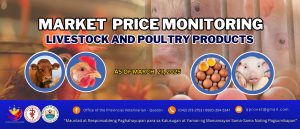 market-price-monitor-3-27-25-1-scaled.jpg