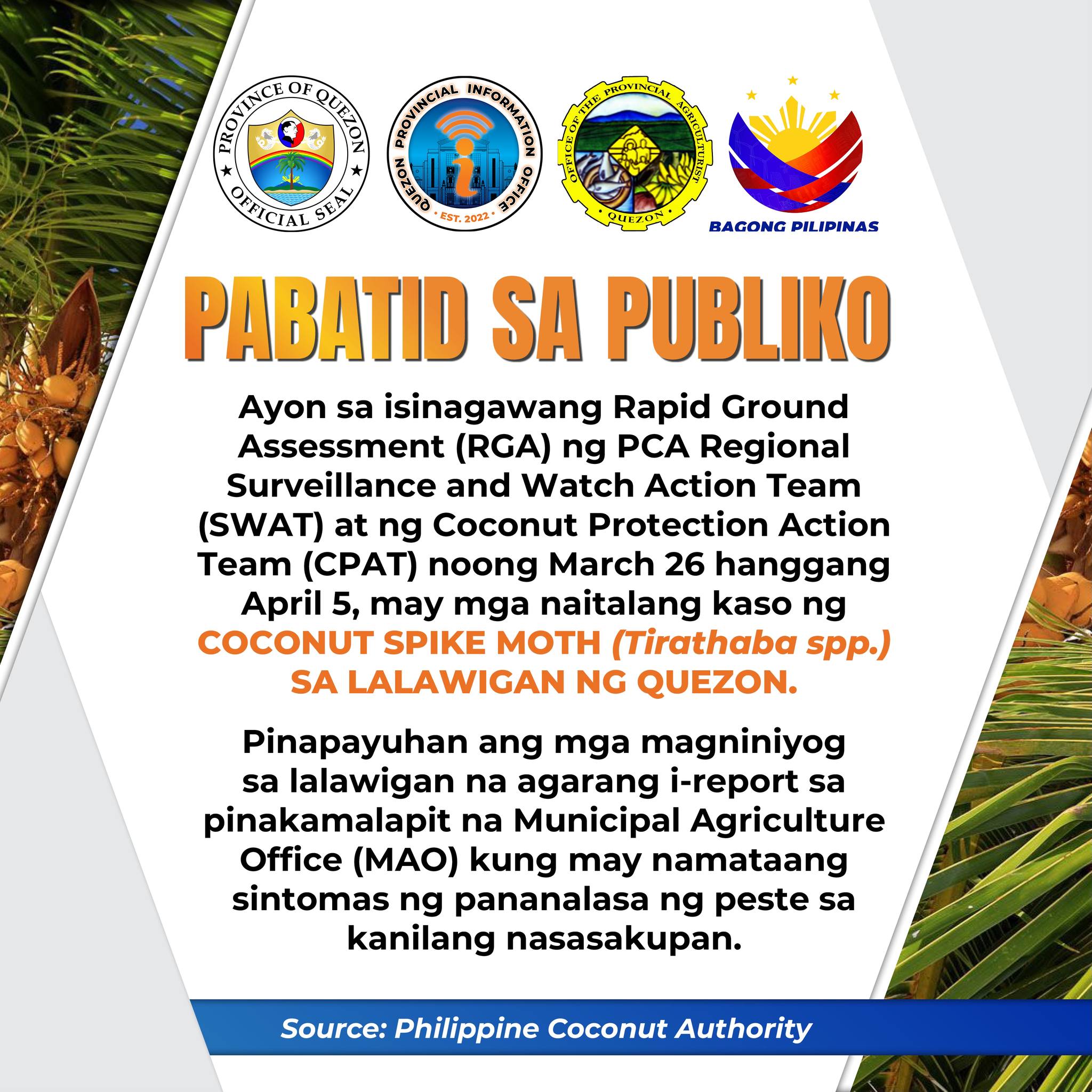 PABATID SA PUBLIKO: May mga naitalang kaso ng “Coconut Spike Moth” sa lalawigan ng Quezon.